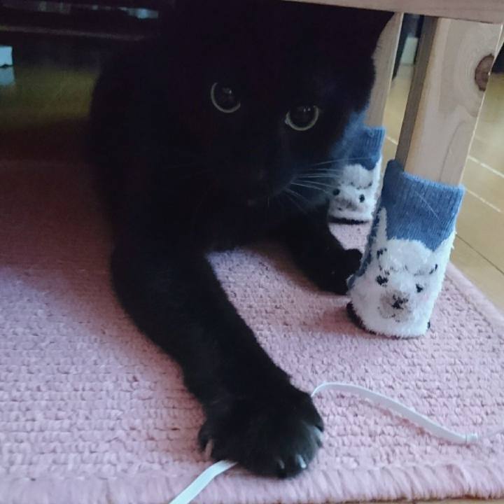 D43b7fbf 451e 42f7 a9e0 ac3a8f8af07e 1600560758301