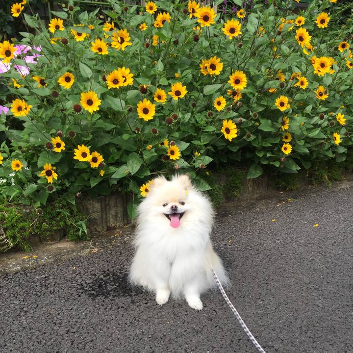 D43b8f8c e8ce 4c09 9e89 e46c40b09a7b 1596845208323