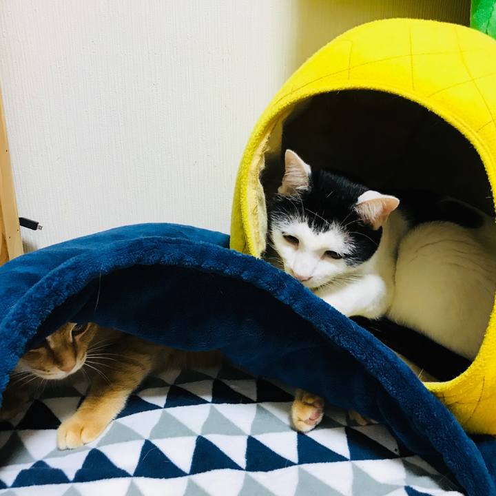 D43b9e29 745e 4efc 9098 3091b925ded6 1537865385479