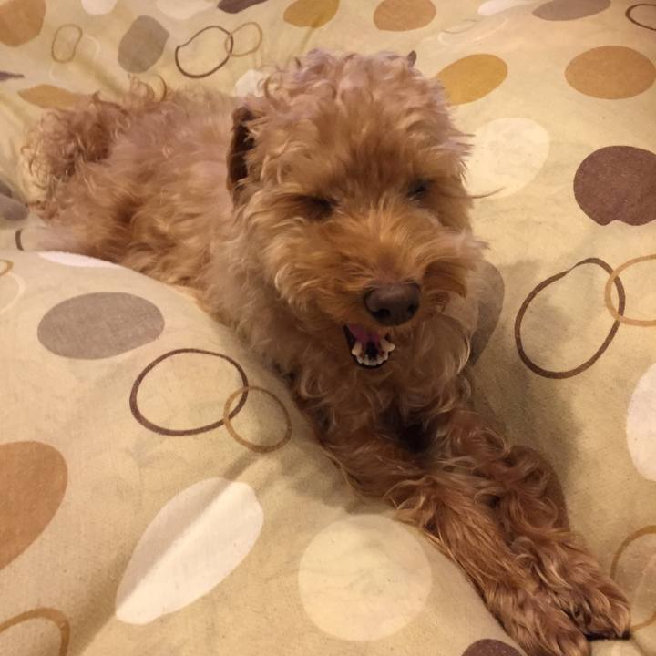 D43ba4cb a930 4124 a752 0f995f93e65c 1518250887327