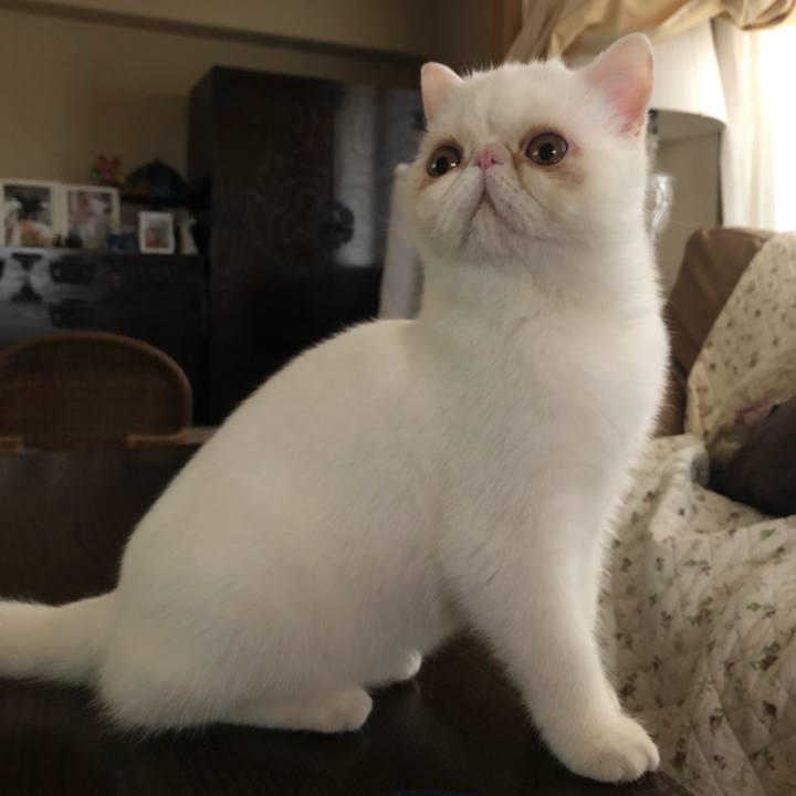 D43bb5d7 8b37 4c20 bffb d7488541e352 1560085488436