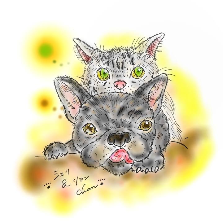 D43bbcee 0971 4cf6 9f6c 9080511a1131 1583417864481