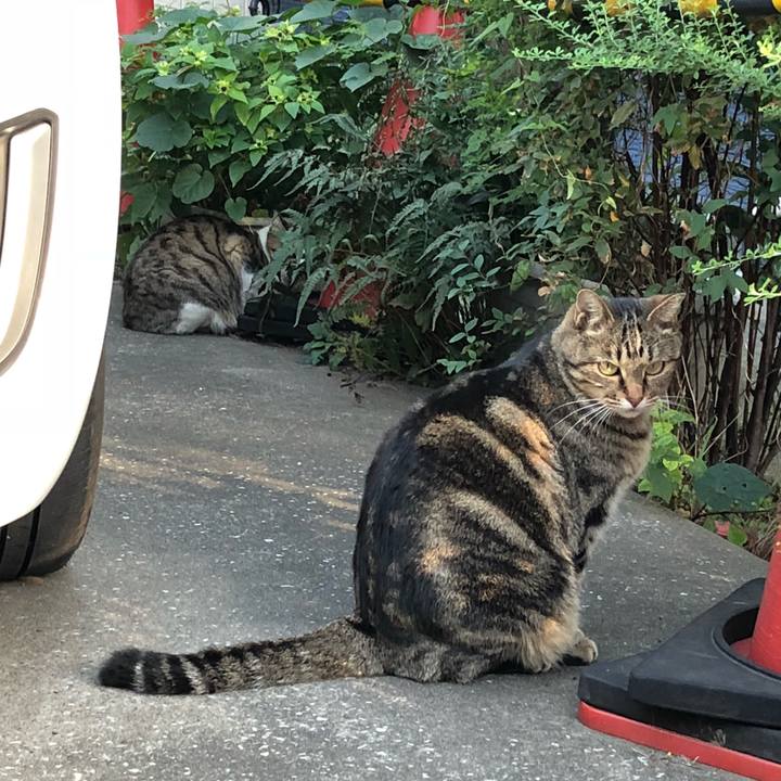 D43c1e8c 0d92 4d1a a8f8 a5bab8d320c6 1540993445459