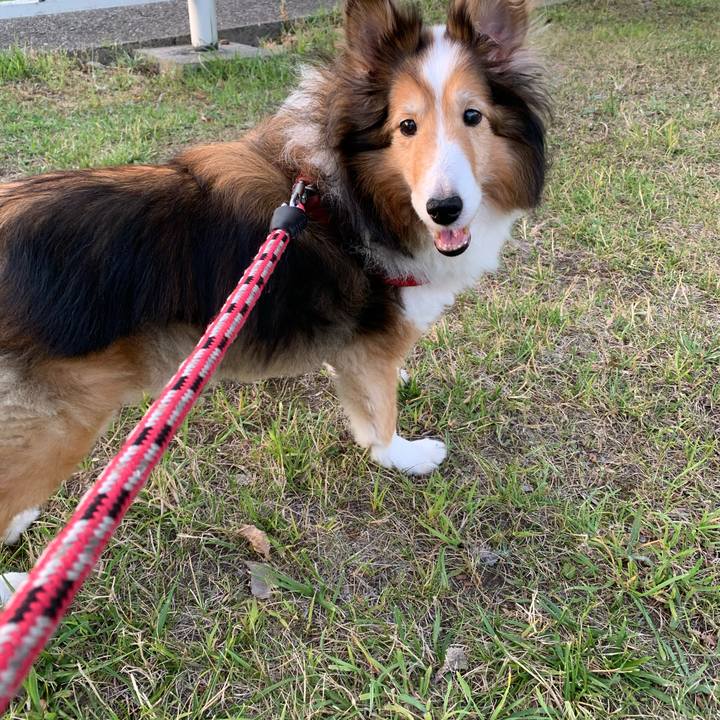 D43c21fb 78ea 432d 842b 5efea71e0e7d 1598260605403