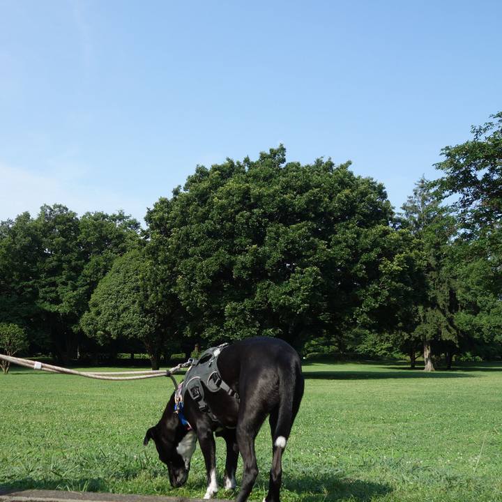 D43c475e c1db 434a 9ec8 9306b39d4490 1655600889389