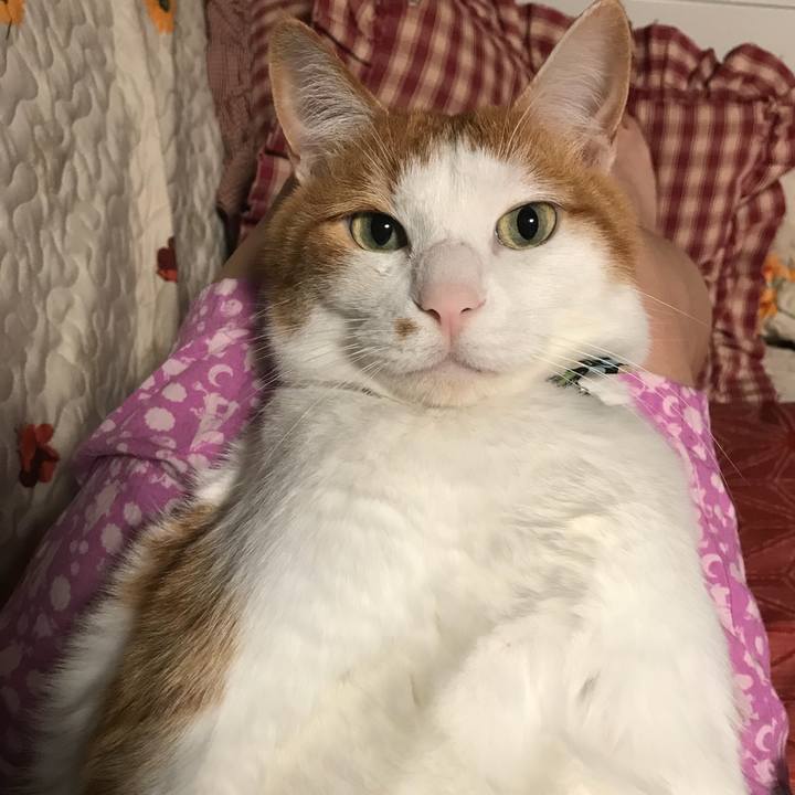 D43c5221 5455 4491 b178 b14f161138b0 1530798089124