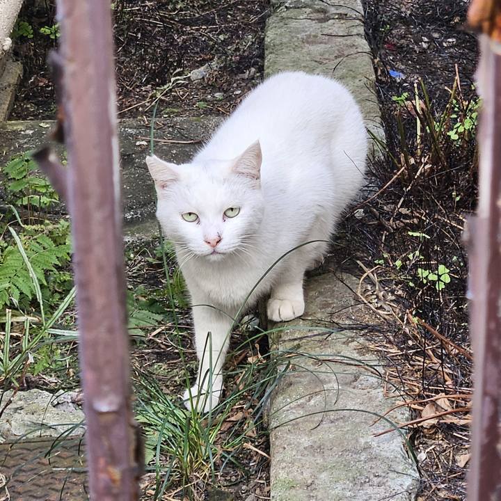 D43c544a c536 4373 97df 8ef8a73f30f9 1734750476761