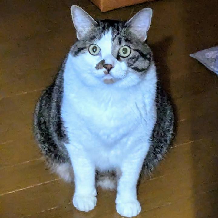 D43c57a1 3644 482b 942f d87ff01c1bfb 1726357493521