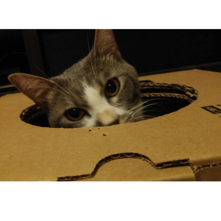 D43c5f2f 2302 43f6 91b3 e431b6c448ba 1595861729172