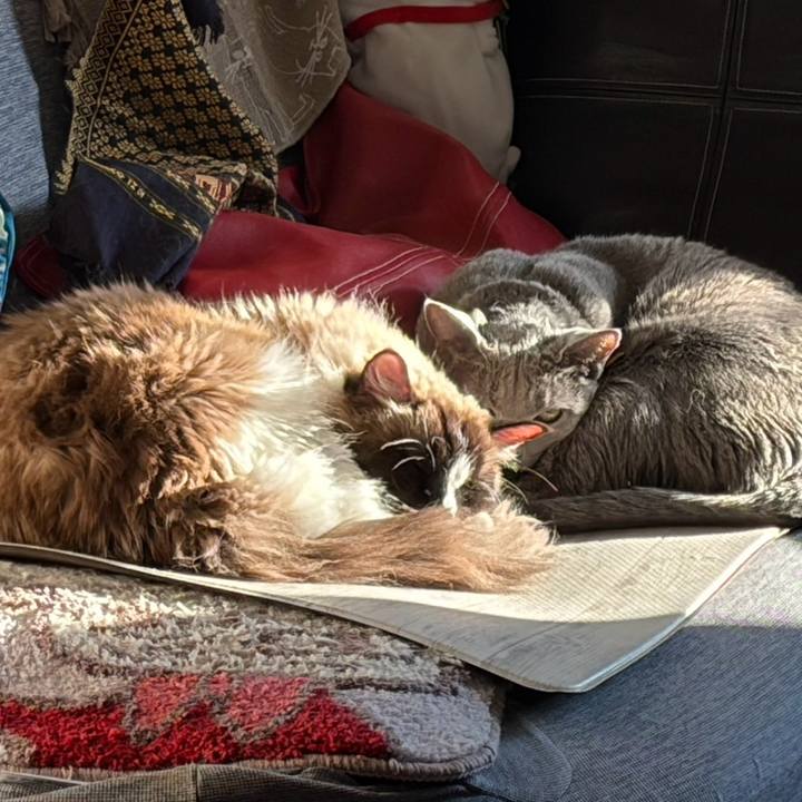 D43c8ee2 132f 42be 8102 54e233aa199e 1770206450667