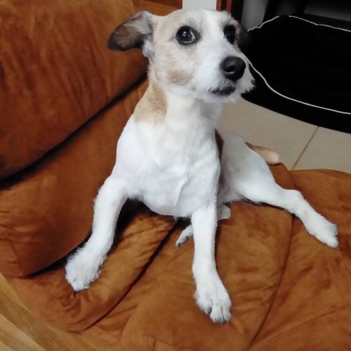 D43cdb7e 32a1 4d29 9ecd bf7c587f2e94 1559550212082