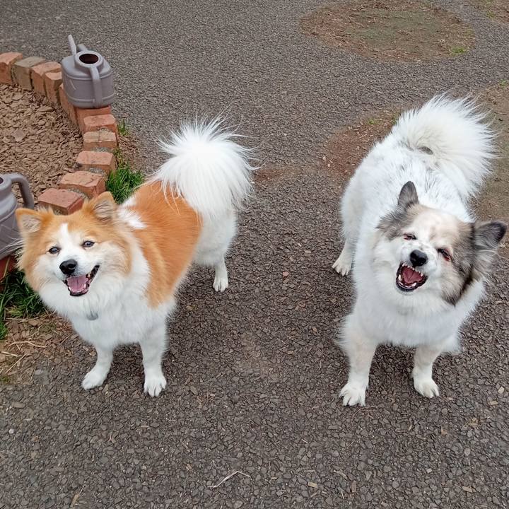 D43d1eb8 60cf 49f0 b42d 36a178e57043 1678617484462