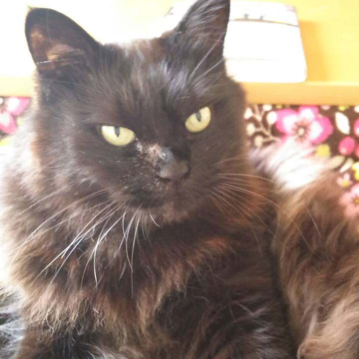 D43d3a63 a5d1 4fcd 9ab7 e8fdaa82cafb 1555998345561