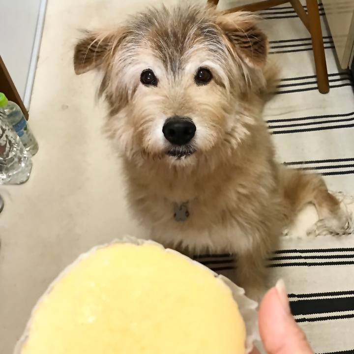 D43d5225 e487 41c5 821e aee003021e7c 1634786188145