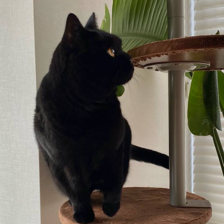 D43d9521 57a2 4895 882c e6975caa1030 1608161389375