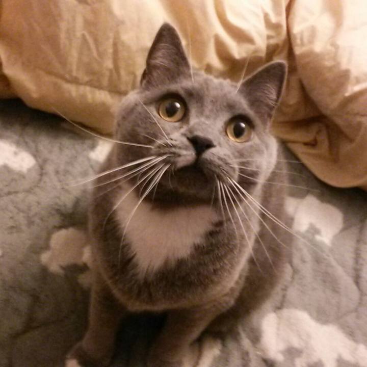 D43d9d6c a0d9 46f7 9d93 5735f9103a10 1589109803298