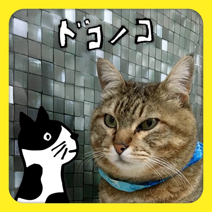 D43dacdd a287 46ac 8ac8 a0df01ad47b7 1622940760427