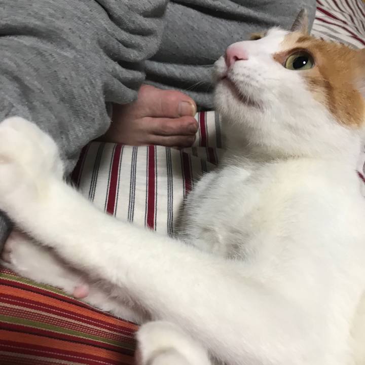 D43de251 8e8a 4079 90e0 4ce51190a845 1525833653224