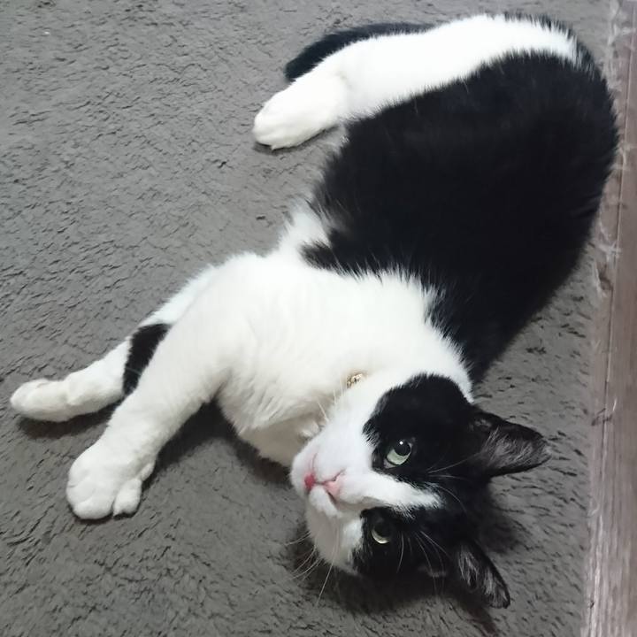 D43e37ba 2ad5 49a7 bcd7 37a5b2adbbef 1591864398223