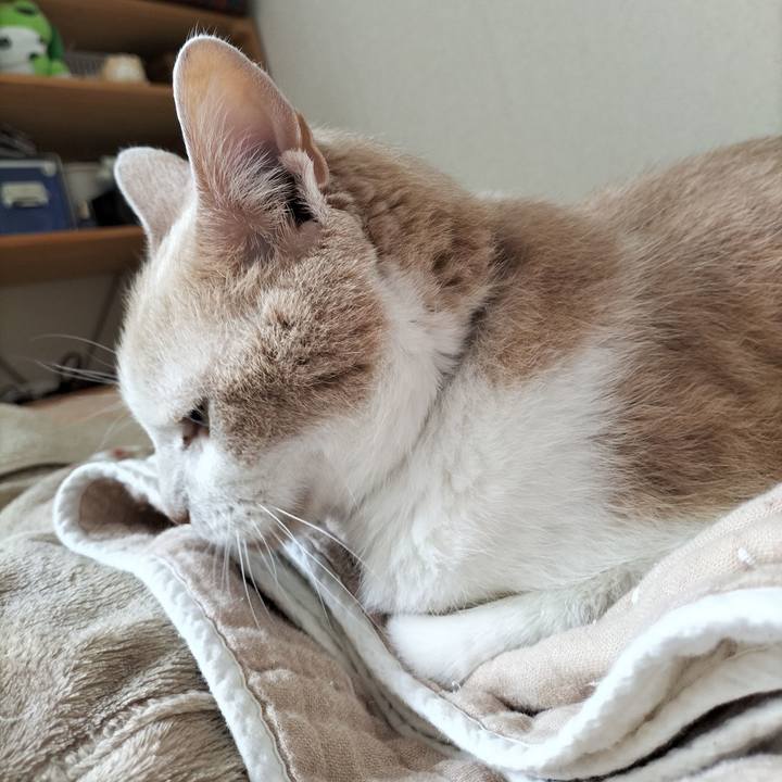 D43e38e5 8cb2 4390 874c e84a135d5a1c 1654395528223