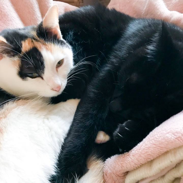 D43e8967 b30d 48b9 aca5 dc428e4538c3 1513930843701