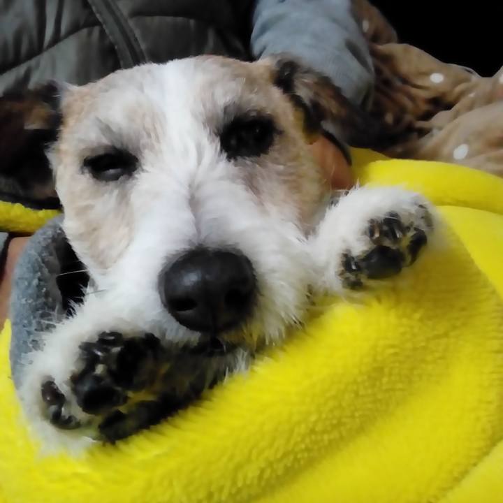 D43e9df0 2476 4973 826f ac525318fe04 1549797499019