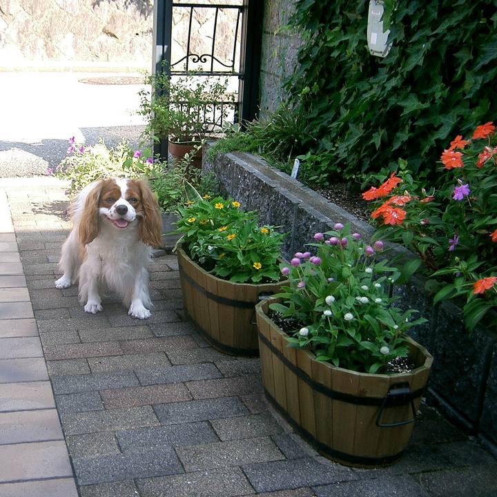 D43ebde9 a333 4c68 beb4 40154be91e41 1553899029683