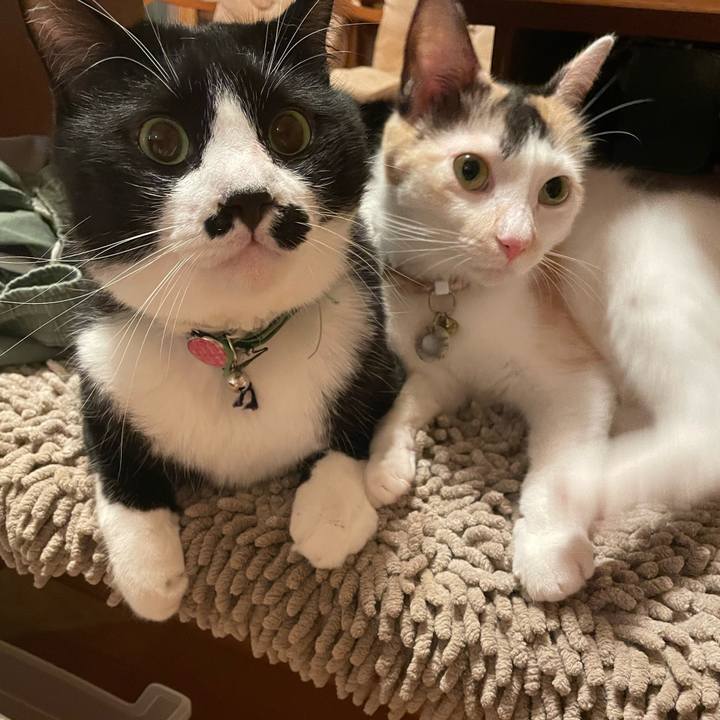 D43f0264 e29e 4341 81c6 f1095f05d4a4 1696333632946