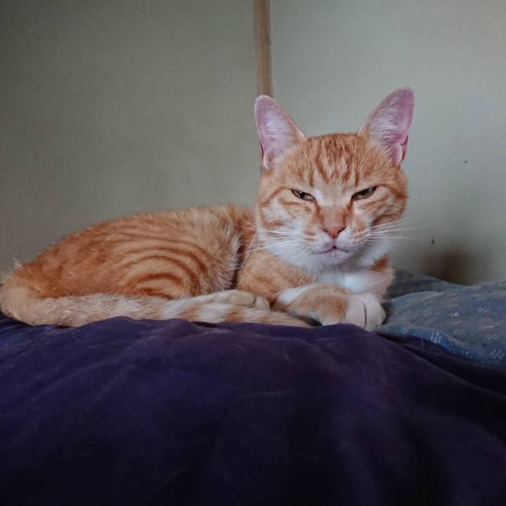 D43f10b4 a888 456f 827c b416d4c7519e 1592005727016