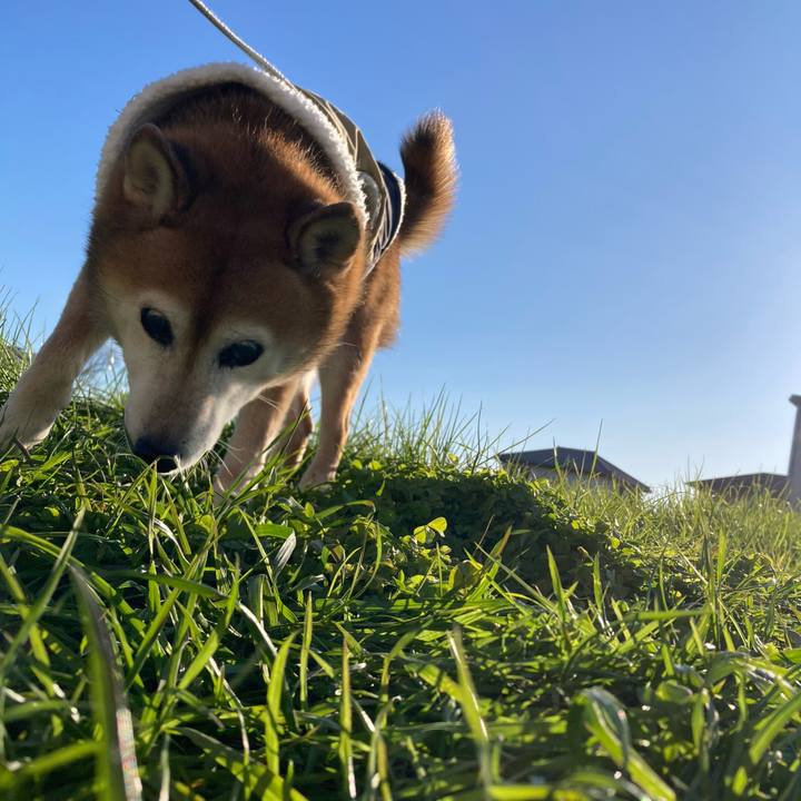 D43f2b02 c8a4 445c 9cd6 bdcaf8584bcc 1733967705186