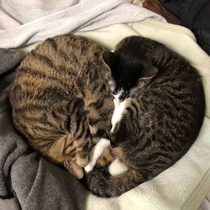 D43ffa8a ac7e 4f07 a81b 784b21cdc7be 1524021301737