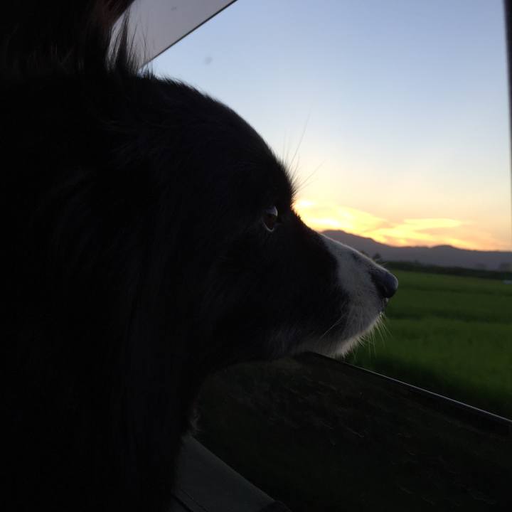 D4400119 d765 4fde b26c 4468a4b99ae0 1534503528585