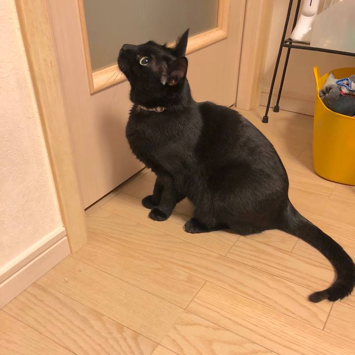 D4401a61 e3e9 4dd7 a568 7affe6d196ef 1520250407790