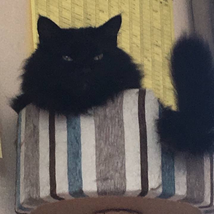 D4401c18 4339 46a9 9b5f 7edf6899fc55 1555464712138