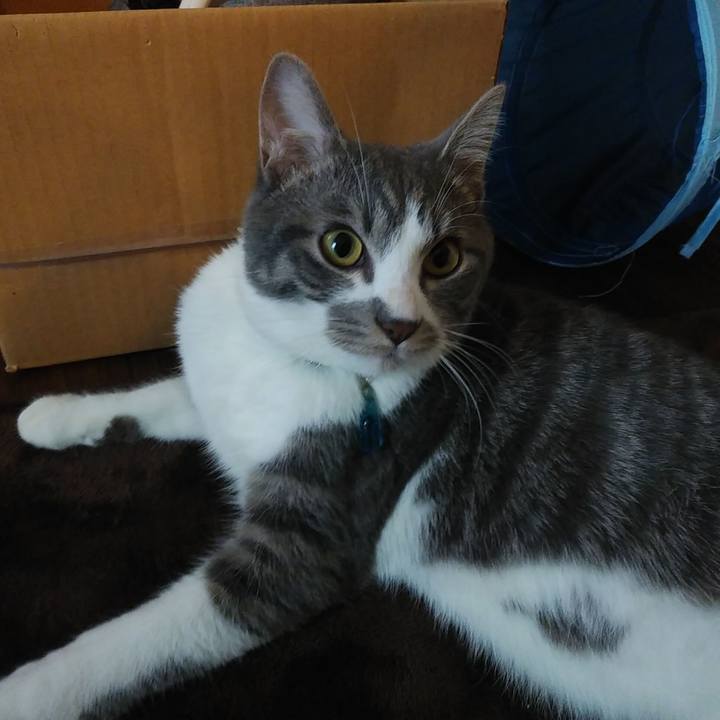 D44048d8 1d43 4256 915a b84f68fedfba 1578783878075