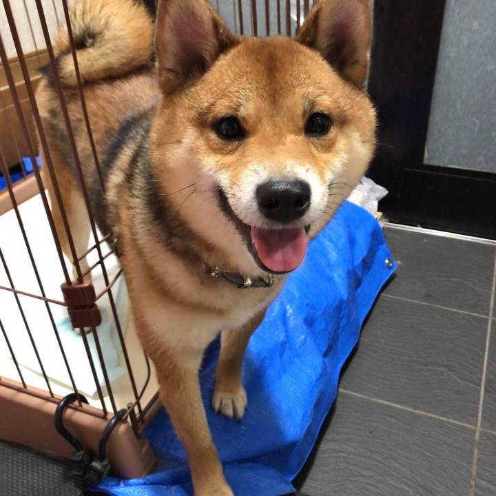 D4406d08 bcad 4123 aad3 fa72cca7904e 1525689780094