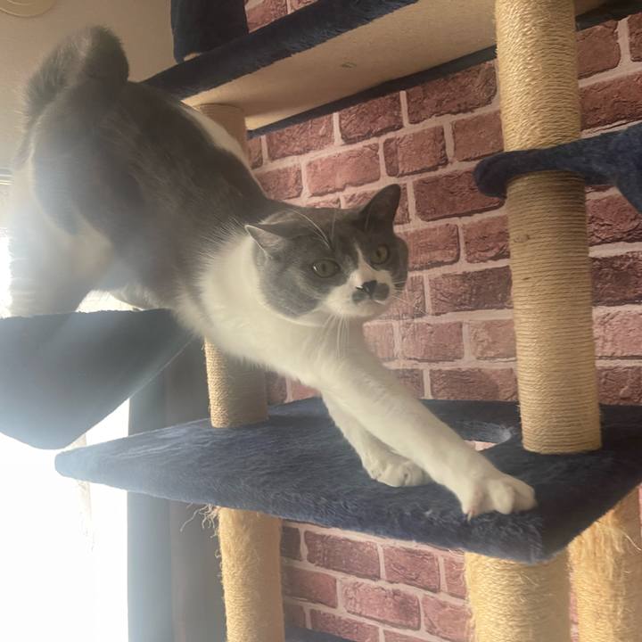 D44086ea 20d0 4a9d a279 dd40bacaf963 1668903034464