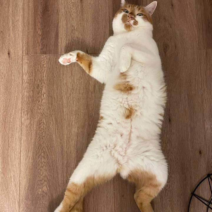 D440c10f ef77 43d0 870b 4d6de2217ce3 1660519087481