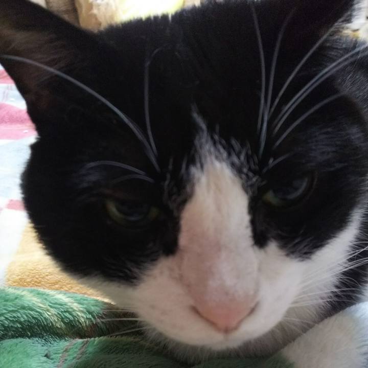 D440cb71 381b 410f 99d7 f3f9a7e1bad9 1544229654771