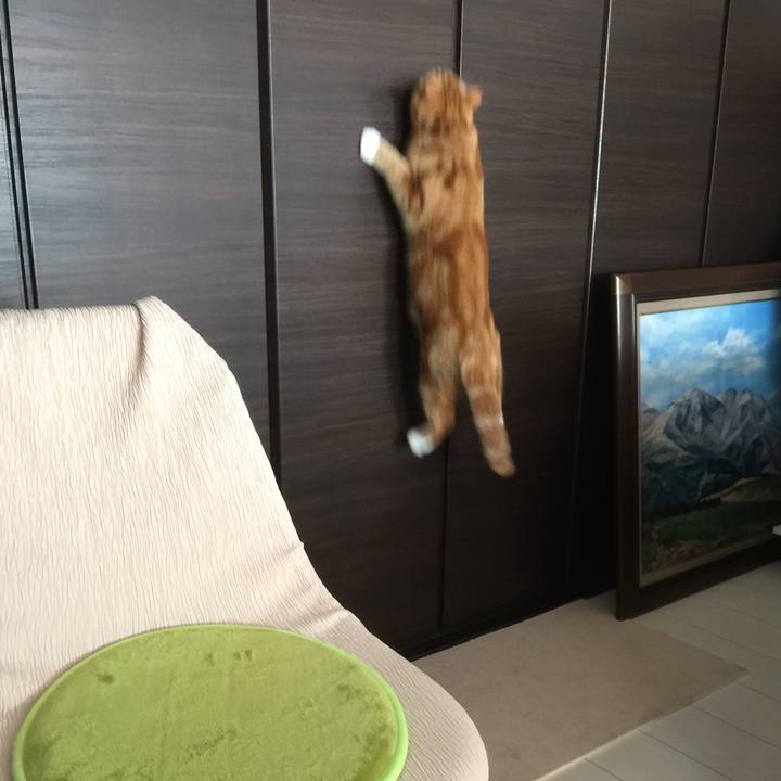 D440cd18 c350 43ba 86b4 62e775231c67 1511576691488