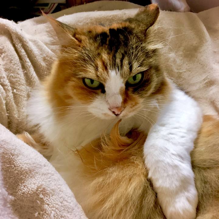 D440dab6 8456 4c4a 8a6f 1446883bc101 1567136067856