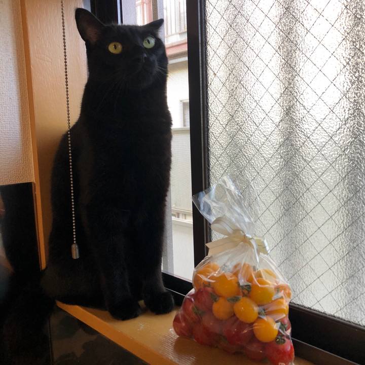 D44135d9 7528 4a58 a86c 1010766fa1d0 1594030325449