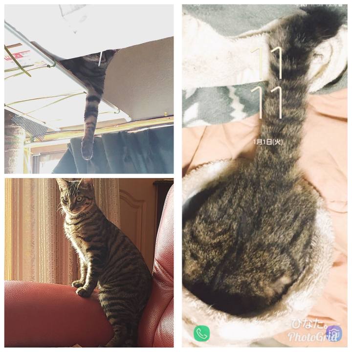 D4413b61 4def 4cc6 8717 c29ebab119d8 1546345239498