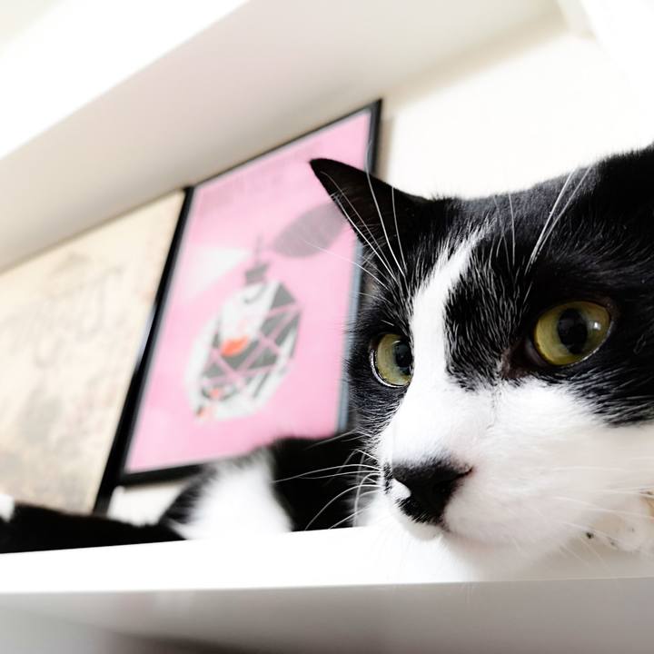 D441656f 482f 4d4b 8852 e951fc95ef52 1549678476767