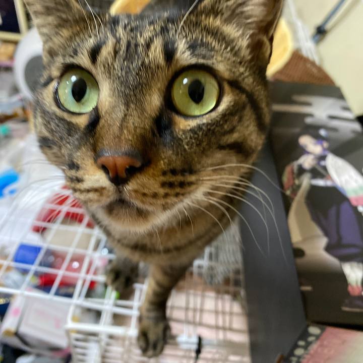 D44171ba 2660 4ebc bf0e b2211bf0cf82 1613428719151