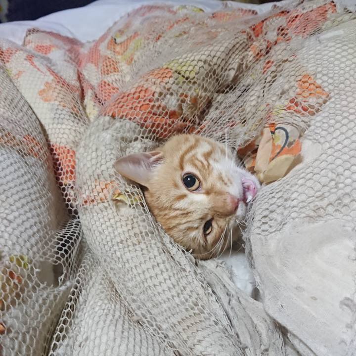 D44180db 5c53 4974 af81 12c9816c1ca6 1649279350209