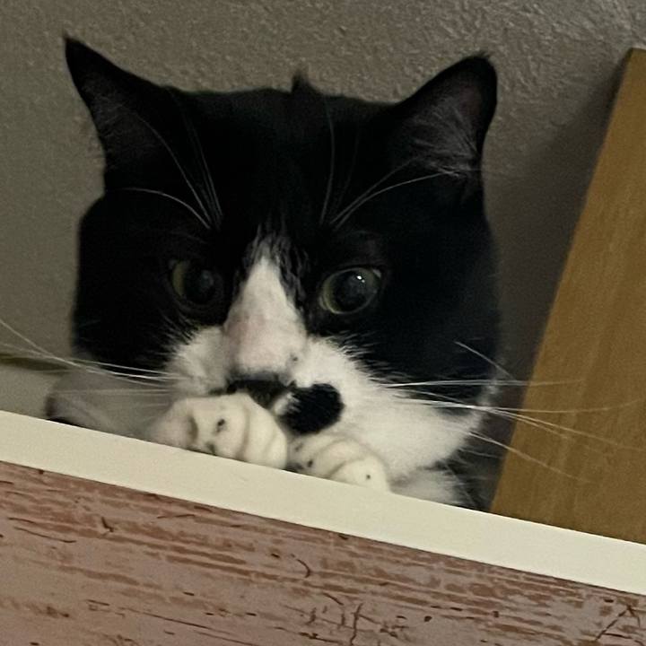 D441df1c e863 4652 a6e7 83c315242831 1652232739253