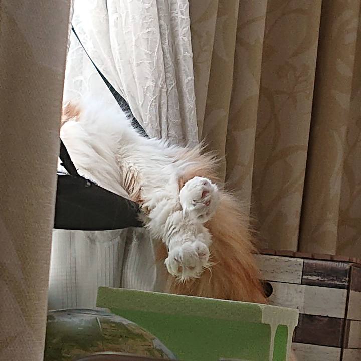 D441e671 9afd 480a 8162 2d208d21b7f3 1613180708944