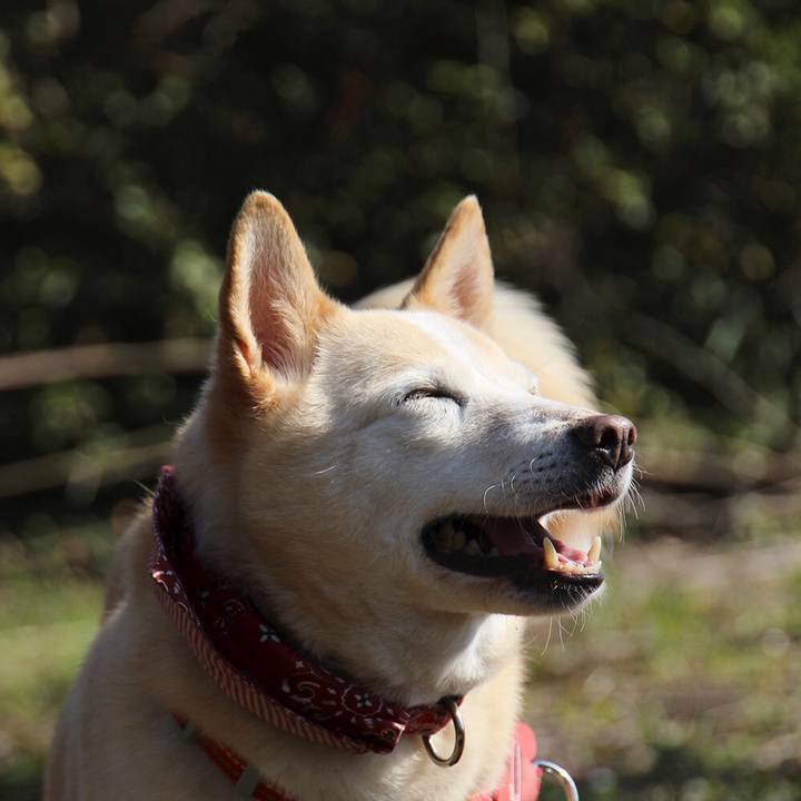 D44207d5 882e 4947 bfff 857d2de68dd3 1556280685860