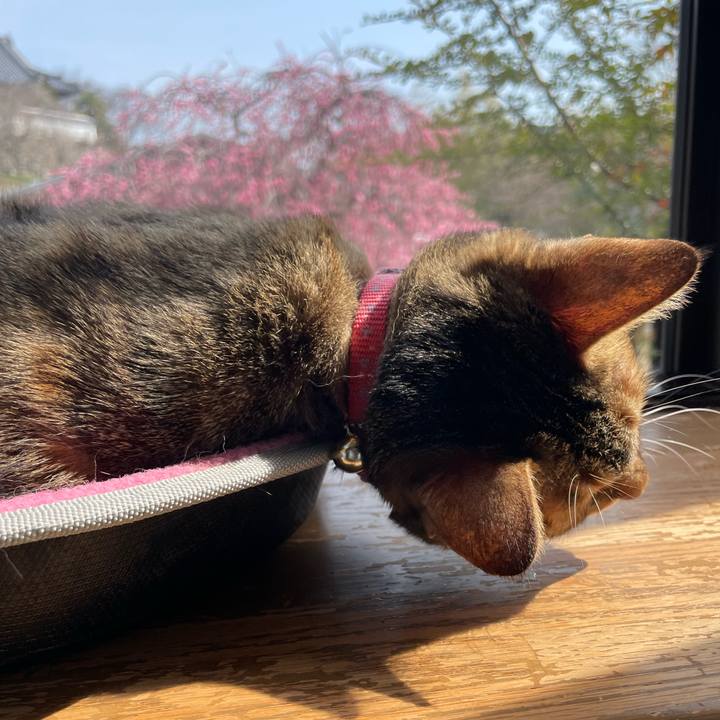 D442284e 4509 4a60 a8d3 be71a6d6f642 1646360610510